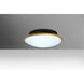 Silk 2 Light 13 inch Flush Mount Ceiling Light