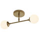 Fusion Collection - Noho Family 2 Light 16.5 inch Brushed Brass Semi-Flush Ceiling Light, EVOLV