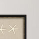 Capiz Knobby Starfish Starfish Neutral and White and Beige Framed Art