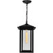 Crawford 1 Light 9 inch Black Outdoor Hanging Light