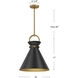 Alora Mood Emerson Pendant Ceiling Light in Matte Black and Aged Gold