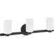 Bedminster 3 Light 24 inch Matte Black Vanity Light Wall Light