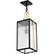 Holden 8.5 inch Black and Gold Outdoor Hanging Light