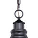 Delano LED 11 inch Oil Burnished Bronze and Light Gold Outdoor Pendant