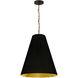 Anaya 1 Light 20 inch Aged Brass Pendant Ceiling Light in Black/Gold Jewel Tone, Medium