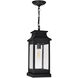 Milford 1 Light 7.25 inch Black Outdoor Hanging Light