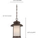 Bethany LED 10 inch Mahogany Bronze Outdoor Hanging Light