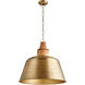Artisan 1 Light 20 inch Artisan's Brass Pendant Ceiling Light