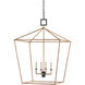Denison 4 Light 26 inch Mole Black Lantern Pendant Ceiling Light, Large