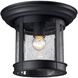 Skylar 1 Light 9.75 inch Black Outdoor Flush Mount