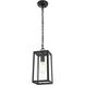 Veda 1 Light 5.5 inch Black Outdoor Pendant