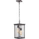 Riviera III 3 Light 8 inch Oiled Bronze Outdoor Outdoor Pendant, Large