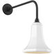 Thomas O'Brien Academy Barn Light LED 20.75 inch Matte Black Rex Barn Light in 9.25" White Savannah Shade