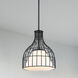Evensong LED 12 inch Matte Black Pendant Ceiling Light
