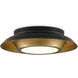 Metaphor 3 Light 19.5 inch Painted Antique Brass/Painted Black Flush Mount Ceiling Light