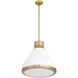 Doyle 1 Light 18.75 inch Natural Brass Pendant Ceiling Light