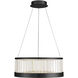 Empra LED 23.63 inch Matte Black Pendant Ceiling Light