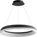 Roswell LED 24 inch Black Pendant Ceiling Light