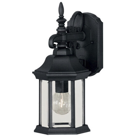 Transitional Outdoor Wall Lantern