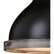 Sheffield LED 10 inch New Bronze and Distressed Ash with Light Silver Inner Pendant Ceiling Light