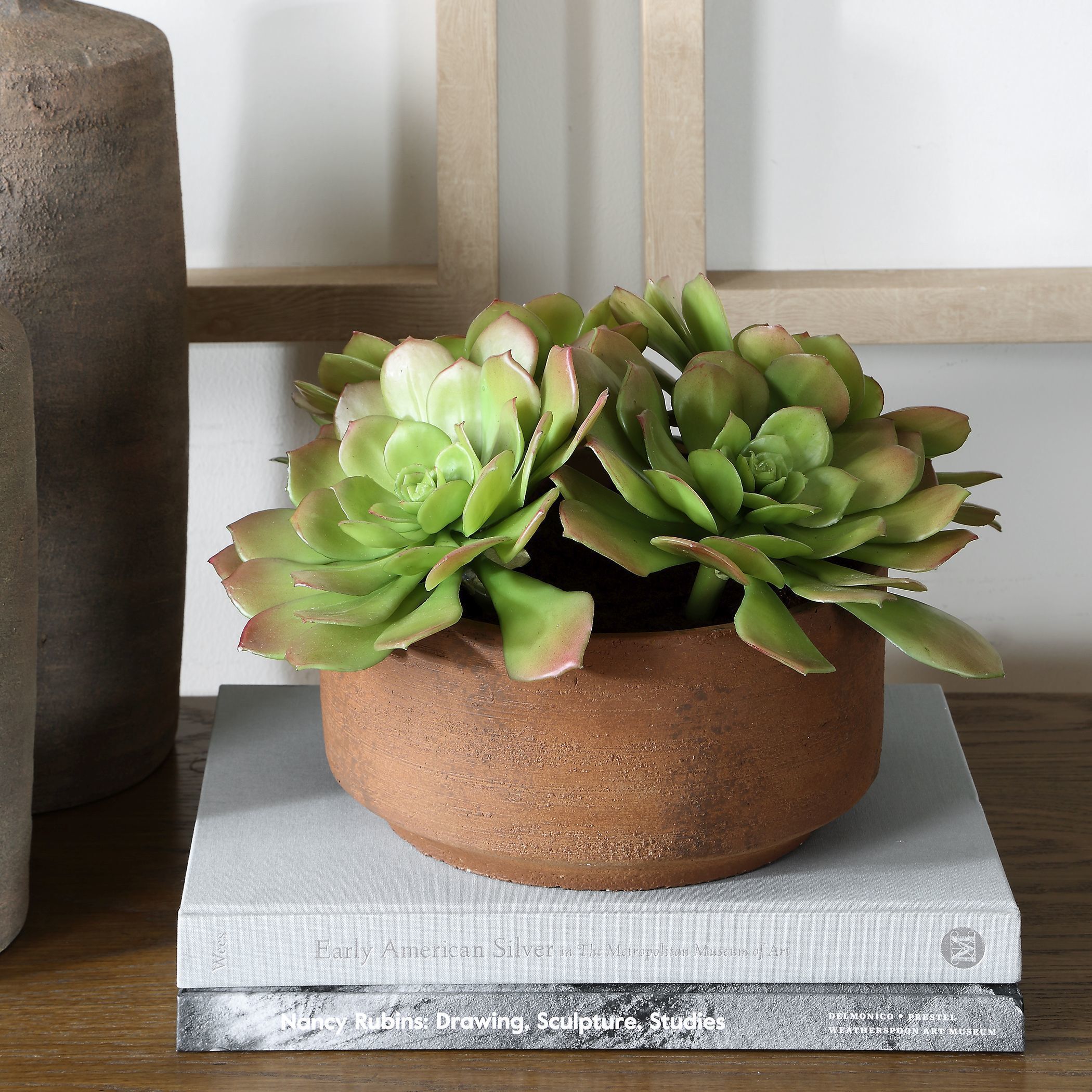 Sable Succulent Terracotta and Green Accent In Pot