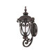 Naples 1 Light 23 inch Marbleized Mahogany Exterior Wall Mount