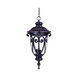Naples 3 Light 11 inch Marbleized Mahogany Exterior Hanging Lantern