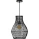 Akami 1 Light 14 inch Black Mesh Pendant Ceiling Light
