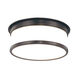 Geneva 2 Light 12.25 inch Old Bronze Flush Mount Ceiling Light