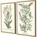 Botanical Plants Green and Multi and Neutral and Yellow Framed Art