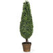 Boxwood Green Faux Plant