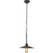 Clayton 1 Light 12 inch Dark Coffee Pendant Ceiling Light