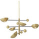 Salinas 5 Light 10.24 inch Antique Brass and Black and Matte Glass Chandelier Ceiling Light