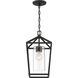 Hopewell 1 Light 9 inch Matte Black Outdoor Hanging Lantern