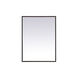Pier 40 X 24 inch Black LED Mirror