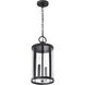 Broadstone 2 Light 8.63 inch Matte Black Outdoor Hanging Light