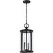 Broadstone 2 Light 8.63 inch Matte Black Outdoor Hanging Light