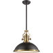 Chadwick 1 Light 17 inch Satin Brass Pendant Ceiling Light