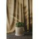 Kuhi Beige Planter, Large