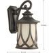 Resort Outdoor Wall Lantern, Large