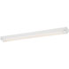 EnviroLite 2 Light 120/277 White Strip Light Ceiling Light in 4000K