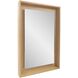 Danton 40 X 30 inch Brown Vanity Mirror