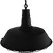 Morgan 1 Light 18 inch Black Down Pendant Ceiling Light