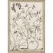 Shimmering Garden Neutral and Black and White Framed Art