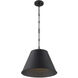 Alden 1 Light 18.25 inch Matte Black Pendant Ceiling Light, Essentials