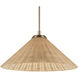 Bekah 1 Light Champagne Bronze Pendant Ceiling Light, Convertible