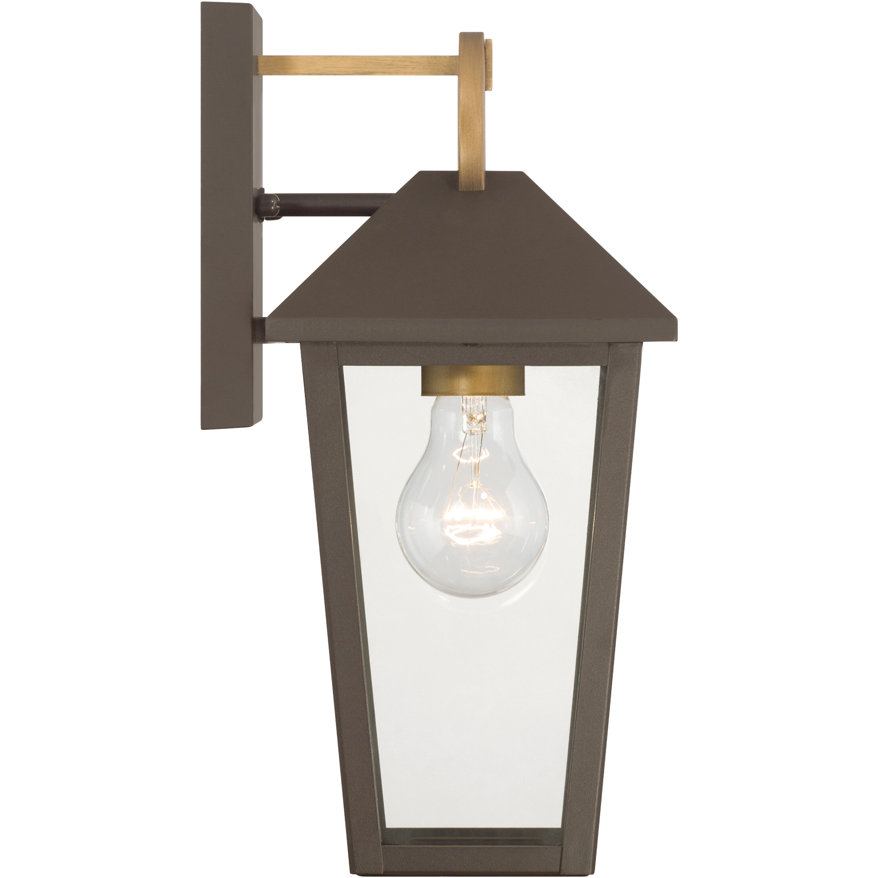 Bayra 1 Light 13 inch Painted Legacy Brass and Dark Bronze Outdoor Wall Lantern