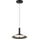 Corrine LED 9.88 inch Matte Black Pendant Ceiling Light