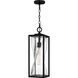 Zarah 1 Light 7 inch Matte Black Outdoor Hanging Lantern, Large