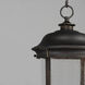 Dover LED LED 10 inch Bronze Outdoor Hanging Lantern